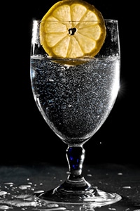 Sparkling Lemon Water 